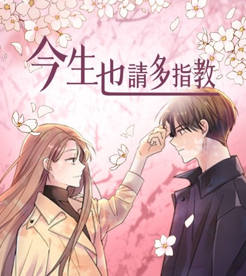 今生也请多指教封面